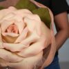 Giant Romantic Flower - Image 7